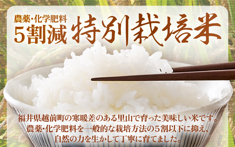 【生活応援米】令和7年産 米 特別栽培米 5kg 福井県越前町産 【玄米】【お米 コメ kome 5キロ 家庭用 白米 玄米 農薬5割減】 [e81-a002_02]
