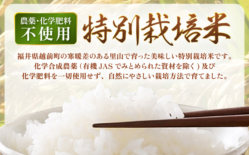 【期間限定】【令和7年産 】 特別栽培米コシヒカリ3kg 無農薬米 福井県認証区分1取得 越前町【白米】【3キロ お米 コメ 農薬化学肥料不使用 送料無料】 [e81-a003_01]