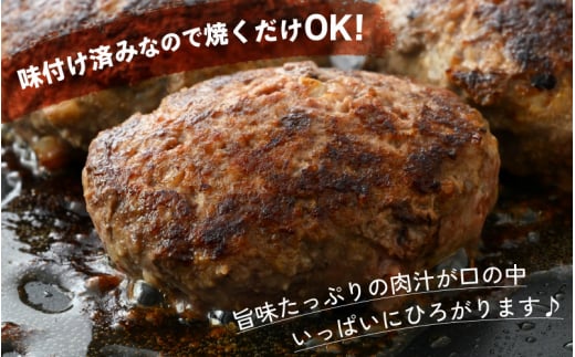 若狭牛入り 手ごね ハンバーグ 5個セット 計650g（便利な個包装 約130g × 5個）味付き【国産 福井県 牛肉 豚肉 黒毛和牛 小分け 冷凍 お弁当 惣菜 人気 お手軽】 [e02-a019]