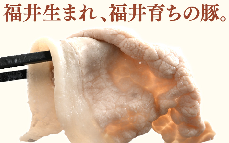「福井県ブランド豚」ふくいポーク ロース薄切 600g（300g × 2パック）【 銘柄豚 福井県産 ポーク 豚肉 ぶたにく 豚スライス肉 しゃぶしゃぶ  冷しゃぶ 使い勝手抜群 肉巻き 野菜巻き 三元交配 肉  冷凍 小分け バーべキュー 国産】 [e02-a026]