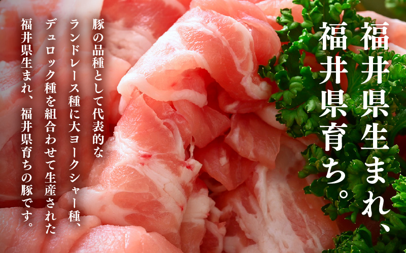 「福井県ブランド豚」ふくいポーク 切り落とし 500g（500g × 1パック）【銘柄豚 福井県産 ポーク 豚肉 ぶたにく  使い勝手抜群 ぶた丼 豚汁 生姜焼き 煮物  三元交配 肉  冷凍 小分け バーべキュー 国産】 [e02-a030]