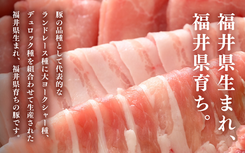 「福井県ブランド豚」ふくいポーク 豚バラスライス 2.4kg（300g × 8パック）【福井県産 ポーク 豚肉 ぶたにく 豚バラ肉 肉巻き 野菜巻き 三元交配 肉  冷凍 小分け バーべキュー】 [e02-b011]