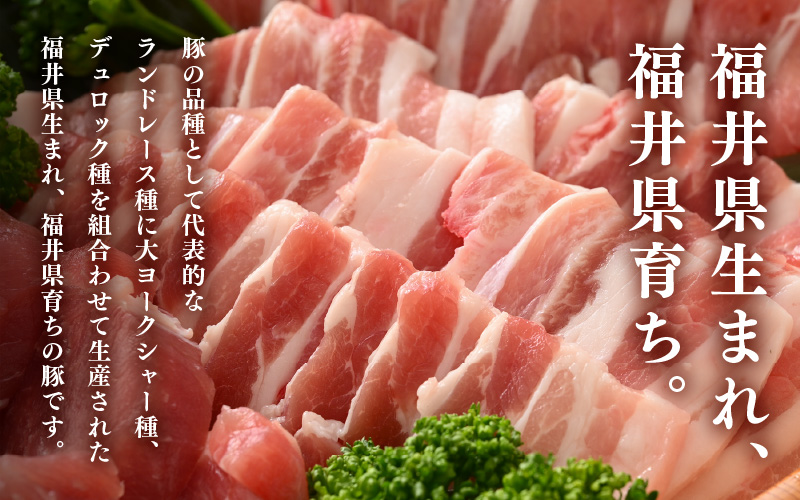 「福井県ブランド豚」ふくいポーク バラ焼肉 1.8kg（300g × 6パック）【 銘柄豚肉  豚ばら肉   国産豚肉 福井県産 ポーク 焼き肉 おかず 夕食 キャンプ飯 ぶたにく  使い勝手抜群  三元交配 肉  冷凍肉 小分け BBQ 】 [e02-b018]