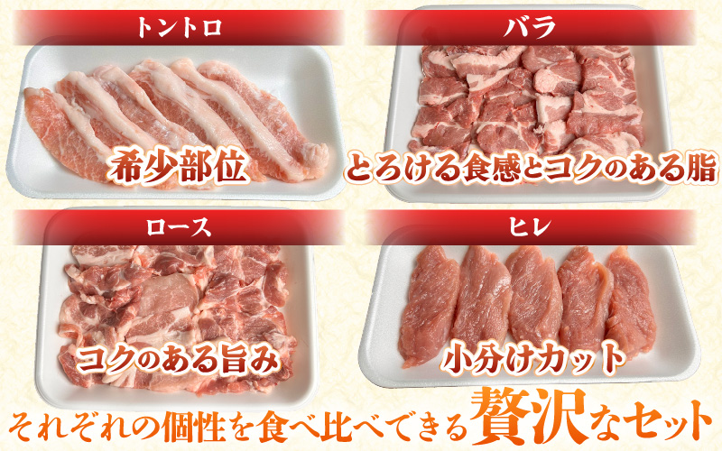 【福井県産ブランド豚】ふくいポーク 焼肉セット 4種食べ比べ 計800g（希少部位 トントロ・ロース・バラ・ヒレ20gカット）【肉 国産 豚肉 詰め合わせ 14日以内に発送 銘柄豚肉 福井県産 ポーク ロース バラ ヒレ肉 とんとろ セット ぶたにく 冷凍 小分け バーべキュー食材】 [e03-a055]