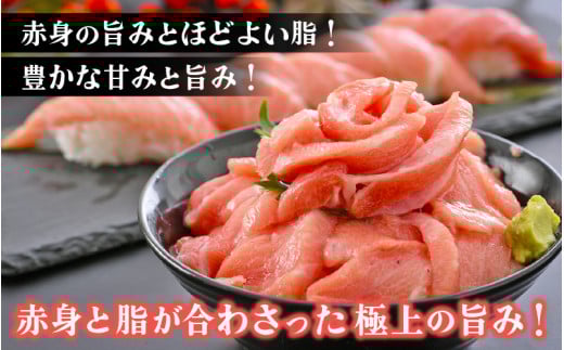 「生本まぐろ」中トロ 約300g（2～3柵） まぐろの王様！！【本まぐろ 鮪 ホンマグロ まぐろ 中とろ 冷蔵 お取り寄せ グルメ】 [e04-a081]