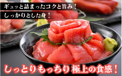 「生本まぐろ」赤身 約300g（2～3柵） まぐろの王様！！【本まぐろ 鮪 ホンマグロ まぐろ 冷蔵 お取り寄せ グルメ】 [e04-a082]
