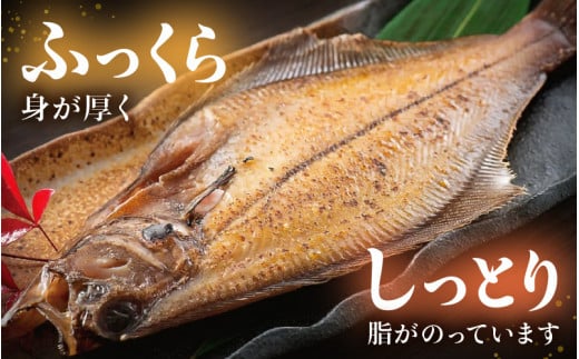 干物 セット 赤がれい 一塩干し 大サイズ （1尾 × 5パック入り）1尾約170g【福井県産 赤カレイ 小分け 個包装 詰め合わせ 保存料・着色料 無添加 おかず 惣菜 冷凍食品】 [e04-a092]