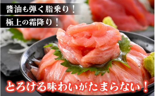 「生本まぐろ」極上霜降り 大トロ 約300g（2～3柵） まぐろの王様！！【本まぐろ 鮪 ホンマグロ 大とろ 冷蔵 お取り寄せ グルメ】 [e04-b029]