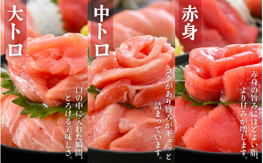 まぐろ三昧「生本まぐろ」大トロ・中トロ・赤身 各約300g（2～3柵） 合計約900g 【本まぐろ 鮪 クロマグロ ホンマグロ まぐろ 冷蔵 お取り寄せ グルメ】 [e04-e005]