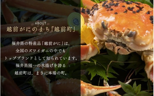 越前町ふるさと感謝券（300,000円分）【宿泊 レジャー アウトドア BBQ 体験型 宿泊券 福井県】 [e05-w001]