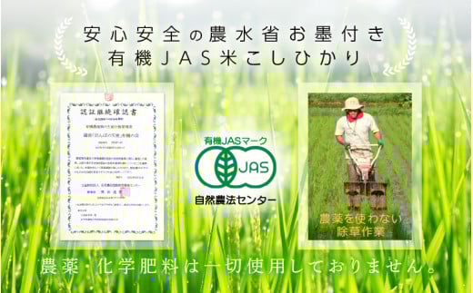 新米 令和7年産 有機JAS 米 越前コシヒカリ 5kg 福井県産【精米】【有機栽培 JAS認証 人気品種 こしひかり 5キロ】 [e10-c005]