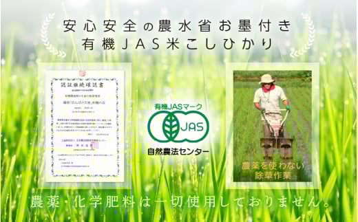 新米 令和7年産 有機JAS 米 越前コシヒカリ 5kg 福井県産【玄米】【有機栽培 JAS認証 人気品種 こしひかり 5キロ】 [e10-c004]