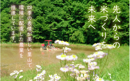 新米 令和7年産 米 定期便 ≪3ヶ月連続お届け≫ 特別栽培米 コシヒカリ 10kg × 3回 福井県産米（有機肥料100% 農薬7割減）【人気品種 こしひかり 計30キロ】 [e10-k001]