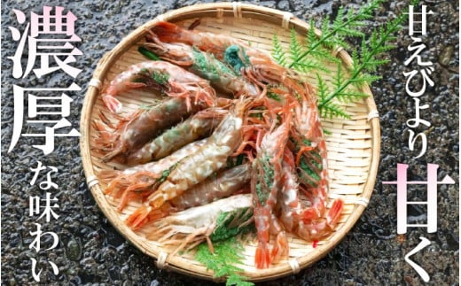 「幻のえび」 越前エビ 1kg （500g × 2箱） 船内凍結 鮮度と旨味に自信あり！【 福井漁連 ブランド品 越前えび 1キロ 】 [e12-b008]