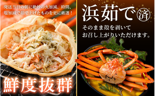 ≪浜茹で≫越前産 紅ずわいがに 約900g × 2杯 食べ方しおり付【紅ズワイガニ カニ かに 蟹 姿 ボイル 冷蔵 福井県】【6月発送分】希望日指定不可 [e14-x001【】06]