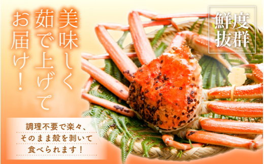 越前がに本場の越前町からお届け！ 越前がに 浜茹で 特大サイズ（生で1.3kg以上） × 1杯 かにの食べ方しおり付き【3月発送分】希望日指定可 備考欄に希望日をご記入ください [e14-x010【】03]