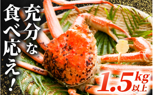 【訳あり】数量限定 シーズン最後のかに 越前がに本場の越前町からお届け！ 越前がに 浜茹で 極サイズ（生で1.5kg以上） × 1杯 味は「極」同様！かにの食べ方しおり付き【3月発送分】 [e14-x013【】03]