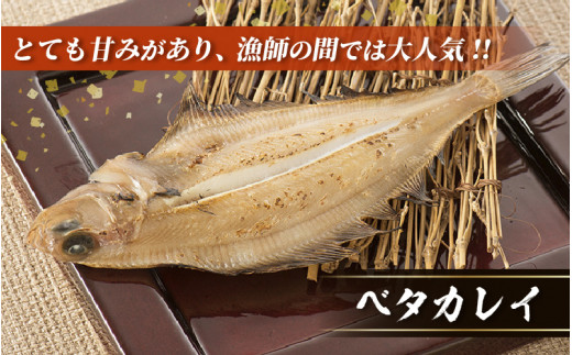 越前産 かれい 「一夜干しカレイ3種セット（合計6～9尾）」 [e15-a001]