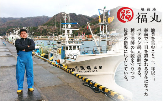 越前カレイ 「越前焼き赤かれい 5尾入 」簡単！調理済み [e15-a006]