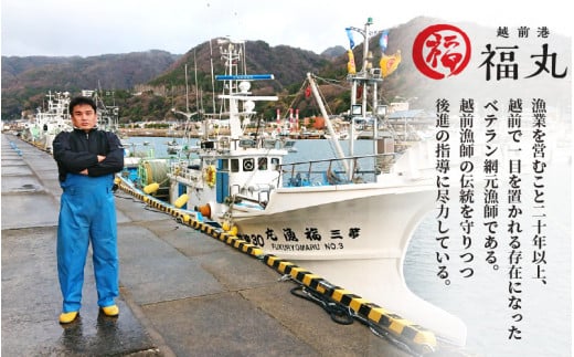 無添加 かれい煎餅 50g × 5パック【越前産カレイ100%使用】 [e15-a007]