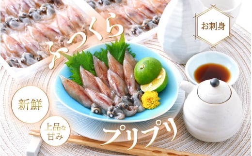 お中元 ギフト 急速冷凍 生 ホタルイカ 21尾入 × 3パック 合計約420g（刺身・しゃぶしゃぶ用）小分け ふっくらプリプリ 鮮度抜群 上品な甘みを存分にお楽しみください！【ほたるいか おつまみ 酒の肴 お取り寄せ グルメ 冷凍 宅飲み】 御中元 のし対応可 [e15-a014]