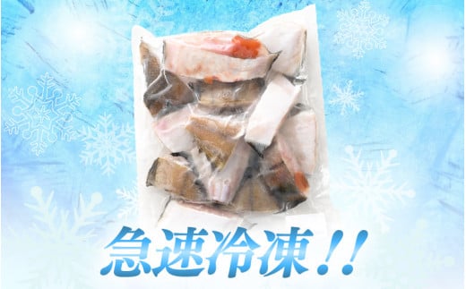 越前産 カレイ 切り身 計2kg（1kg × 2袋） バラ凍結 最短5営業日以内発送！ 使い勝手抜群！福井県網元漁師が厳選！ 肉厚な越前産 カレイ（無塩）【 焼き魚 煮付け バラ凍結便利 】 [e15-a032]