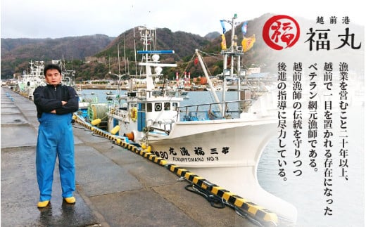 解凍と温めだけのお手軽グルメ！ 明太子入り焼き鯖 越前珍味「ごうじょうさば」 3尾 【骨抜き 魚介類 海鮮 めんたい 明太子 サバ ほねなし 手軽 おかず 惣菜 冷凍食品  ギフト 贈答 送料無料 】 [e15-b001]