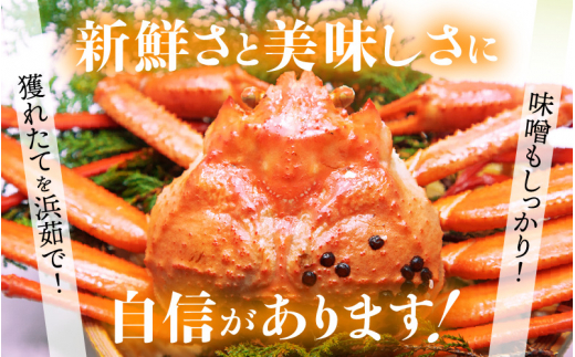 【訳あり】≪浜茹で≫指折れ 越前がに（小） × 6杯 食べ方しおり かにスプーン付き【雄 ズワイガニ ずわいがに 越前ガニ 姿 ボイル 冷蔵 福井県】【2月発送分】希望日指定可 備考欄に希望日をご記入ください [e15-x002【】02]