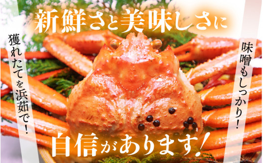 【訳あり】≪浜茹で≫指折れ 越前がに（中） × 1杯 食べ方しおり かにスプーン付き【雄 ズワイガニ ずわいがに 越前ガニ 姿 ボイル 冷蔵 福井県】【2月発送分】希望日指定可 備考欄に希望日をご記入ください [e15-x003【】02]