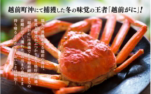 越前がに本場の越前町からお届け！ 越前がに 浜茹で 特大サイズ（生で1kg前後） × 1杯 かにの食べ方しおり かにスプーン付き【3月発送分】希望日指定可 備考欄に希望日をご記入ください [e15-x012【】03]