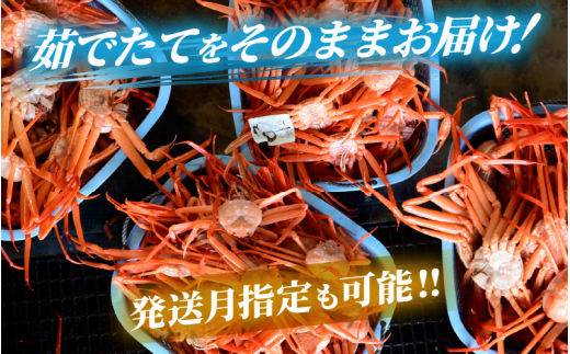 ≪浜茹で≫ 越前産 紅ずわいがに × 3杯 【紅ズワイガニ カニ 蟹 姿 ボイル 福井県】【4月発送】 [e22-x003【】04]