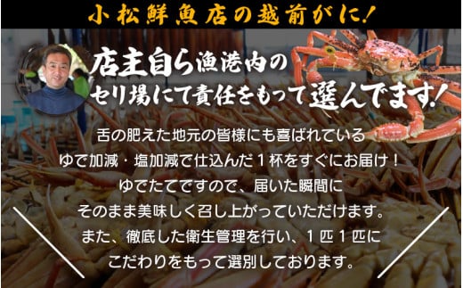 【訳あり】足折れ 越前がに 大きめサイズ × 1杯（800～900g）地元で喜ばれるゆで加減・塩加減で越前の港から直送！【雄 ズワイガニ ずわいがに 姿 ボイル 冷蔵 福井県】【2月発送分】希望日指定可 備考欄に希望日をご記入ください [e23-x013【】02]