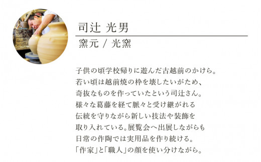 【越前焼】土ごころ 湯呑 2点セット 光窯【お茶 酒 コップ カップ マグカップ 食器  ギフト うつわ 電子レンジ 食洗機 現代の名工 工芸品 陶器】 [e25-a038]
