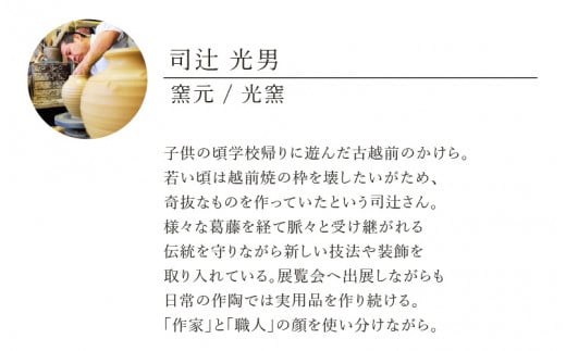 【越前焼】飾り花生け「映」(桐箱付き) 現代の名工 司辻光男【インテリア 花入れ 花器 装飾品 ギフト うつわ 工芸品 陶器】 [e25-r001]