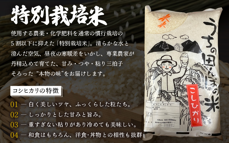 【令和7年産・新米】特別栽培米 こしひかり 5kg【白米】【こめ コシヒカリ 人気品種 ブランド米 5キロ 白米 精米 玄米 おにぎり うまい 福井県ブランド米 福井県産 農薬 50％減】 [e26-a012_01]