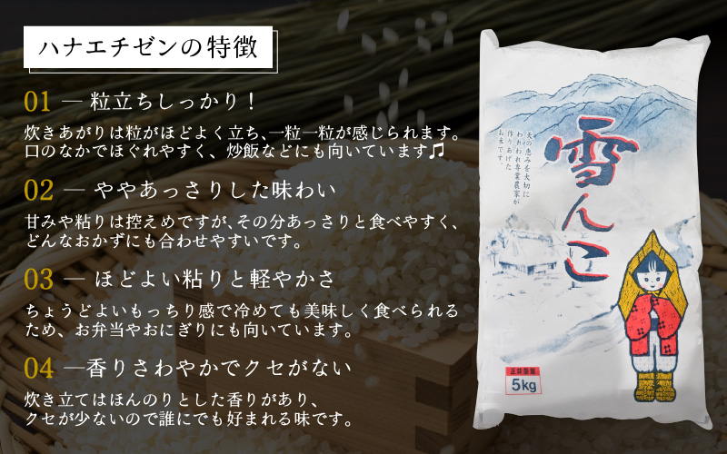 【令和7年産・新米】定期便 ≪3ヶ月連続お届け≫ ハナエチゼン 5kg × 3回（合計15kg）【白米】【お米 こめ はなえちぜん 華越前 人気品種 ブランド米 5キロ 白米 精米 玄米 おにぎり うまい 福井県ブランド米 福井県産】 [e26-c001【】01]
