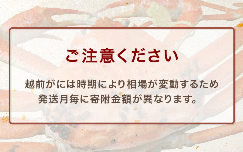 ≪茹で≫越前がに大（タグ付き）1杯（生で1kg以上）カニ酢90cc付 板前特製手仕込み 食べ方しおり付き【雄 ズワイガニ かに カニ 蟹 越前ガニ 姿 ボイル 冷蔵 福井県】【1月発送分】希望日指定可 備考欄に電話番号をご記入ください [e29-x002【】01]
