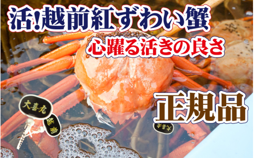 活！越前 紅ずわいがに × 1杯 旨味満点！！【紅ズワイガニ 紅ずわい蟹 かに カニ 蟹 姿 生 ボイル 冷蔵 福井県】【4月発送分】【生でお届け】希望日指定不可 [e37-x002【】04a]