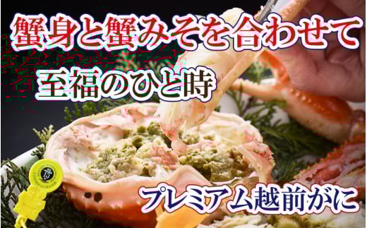 越前がに本場の越前町からお届け！ 越前がに × 1杯（二番蟹）究極のプレミアム越前がに【1月発送分】【生でお届け】希望日指定可 備考欄に希望日をご記入ください [e37-x005【】01a]
