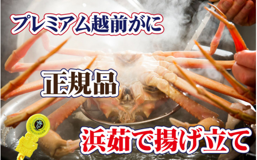 越前がに × 1杯（一番蟹）桐箱入り！越前国の主！越前がにの象徴【雄 ズワイガニ かに カニ 蟹 姿 生 ボイル 冷蔵 福井県】【1月発送分】【浜茹でお届け】希望日指定可 備考欄に希望日をご記入ください [e37-x010【】01b]