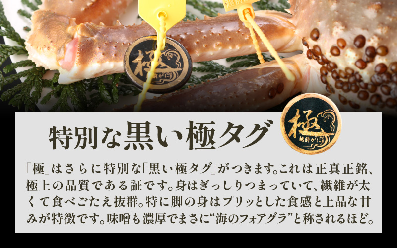 ≪浜茹で≫越前がに 極（生で1.5kg以上） × 1杯【雄 ズワイガニ 越前ガニ 姿 ボイル 冷蔵 かに カニ 蟹 福井県】【2月発送分】希望日指定可 備考欄にメールアドレスをご記入ください [e43-x013【】02]