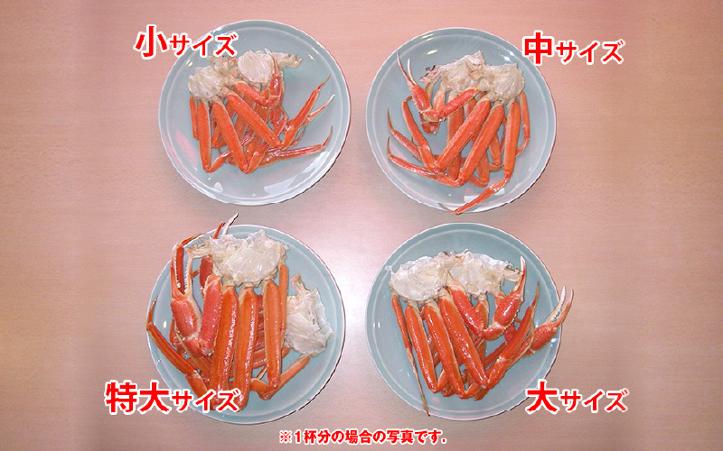 【期間限定】【訳あり品】≪浜茹で≫越前産水がに 1kg（4肩～8肩）産地直送　お手頃【雄 ズワイガニ 越前ガニ 足のみ ボイル 冷蔵 かに カニ 蟹 福井県】希望日指定可 備考欄にメールアドレスをご記入ください [e43-x016]