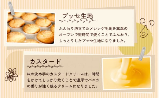 ふわっふわブッセ 「ヌーブ」 5種 × 各3個 （計15個入） カスタード 苺 バナナ チョコレート コーヒー【スイーツ 人気 ご当地 小分け 冷凍 ギフト 福井県】 [e46-a002]