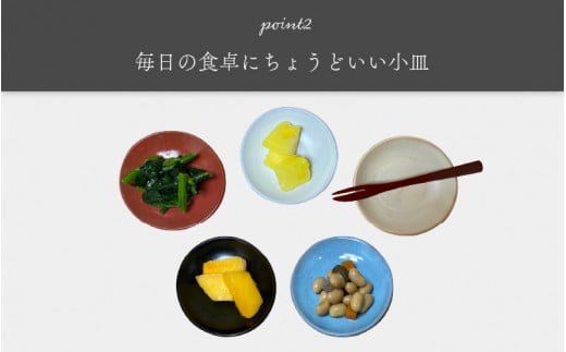 【越前焼】小皿 5枚セット 洗心窯 【豆皿 丸皿 5色 食器 うつわ お皿 色 シンプル 収納 おしゃれ 可愛い ハンドメイド 陶器】 [e48-a006]