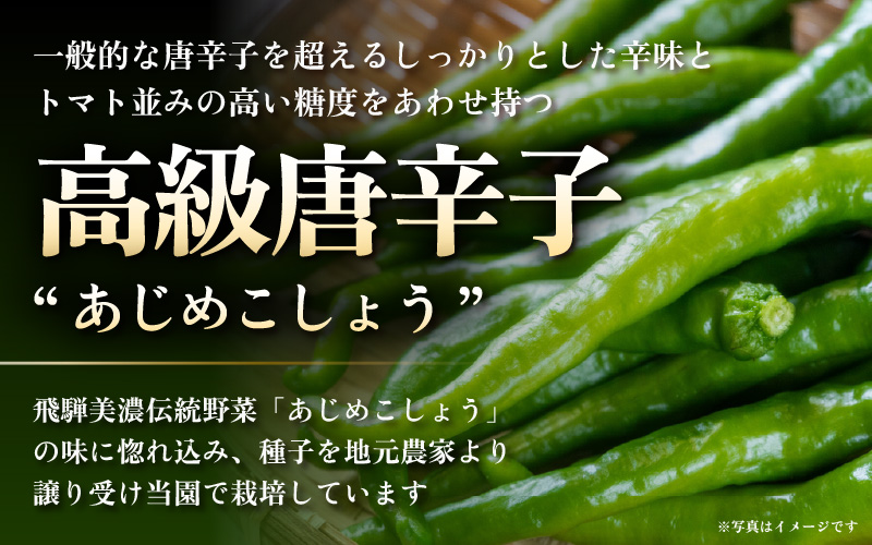 クロダ農園直送！国産 青唐辛子 味噌 140g×3個 おかず味噌 [e62-a004]