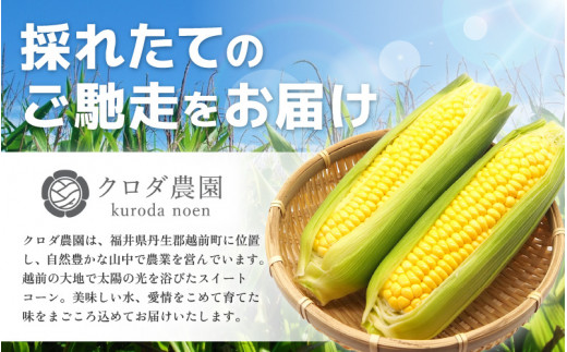 【先行予約】【訳あり】農場直送 鮮度抜群 スイートコーン（ とうもろこし ）約5kg （11本～15本）【2026年7月上旬より順次発送予定】【お楽しみ バーベキュー 冷凍保存可能 焼肉 おやつ ご飯のおとも 野菜 国産 産地直送】 [e62-a009]