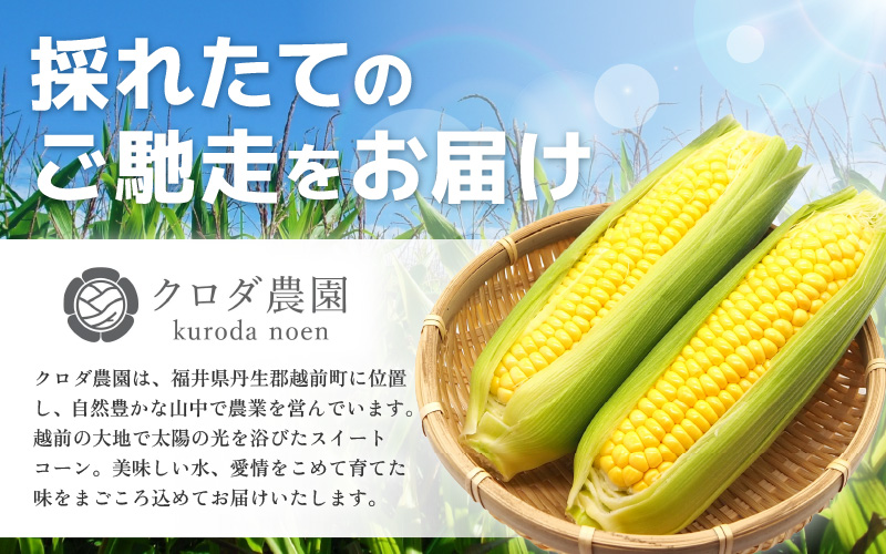 【先行予約】【訳あり】農場直送 鮮度抜群 スイートコーン( とうもろこし )  約10kg（22本～30本)【2026年7月上旬より順次発送予定】【お楽しみ バーベキュー 冷凍保存可能 焼肉 おやつ ご飯のおとも 野菜 国産 産地直送】 [e62-a010]
