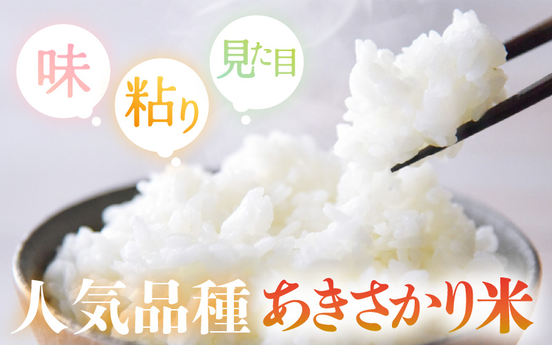 【期間限定】令和7年産 新米 米 5kg 精米 あきさかり 福井県産《14日以内に出荷予定》【白米 5キロ アキサカリ お米 ごはん 人気品種 産地直送 新生活 kome】 [e66-a014]