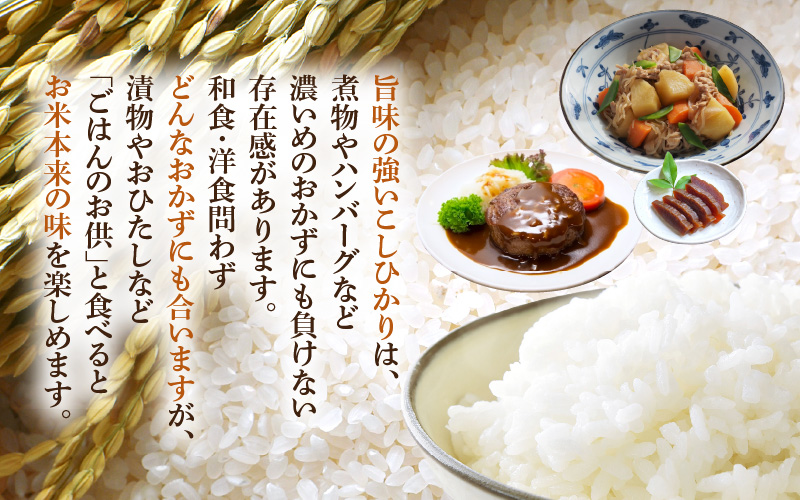 令和7年産 新米 米 10kg（5kg×2袋）精米 コシヒカリ 福井県産《14日以内に出荷予定》【白米 5キロ 10キロ こしひかり お米 人気品種 産地直送 新生活 kome】 [e66-b002]