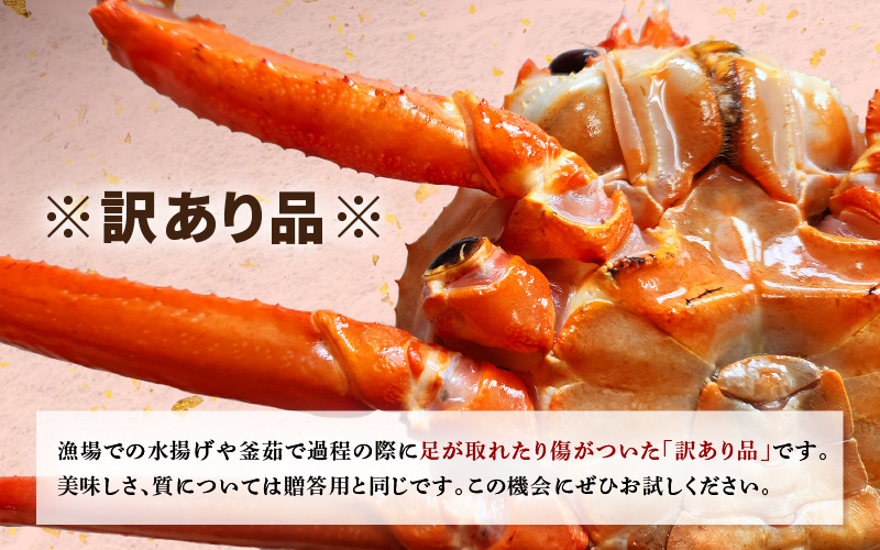 【訳あり】≪浜茹で≫越前産 紅ずわいがに × 1杯（生で約880g～1kg）【紅ズワイガニ カニ かに 蟹】【紅ずわいがに】【4月発送分】 [e80-x001【】04]
